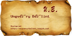 Ungváry Bálint névjegykártya