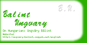 balint ungvary business card
